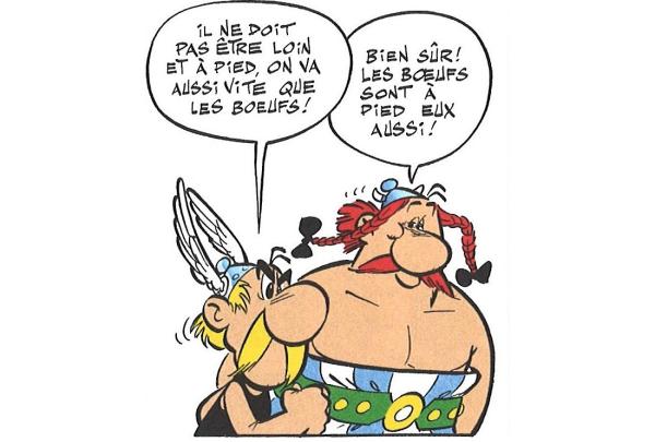 asterix-detail-pl-19-goscinny.jpg