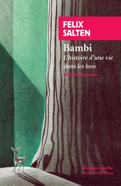 Bambi : l'histoire d'une vie dans les bois de Felix Salten