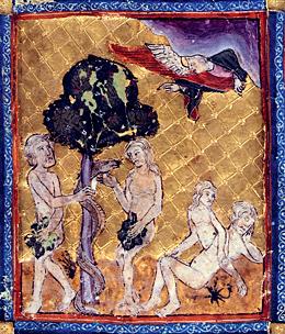 la-creation-d-eve-et-l-arbre-de-la-tentation-haggadah.jpg